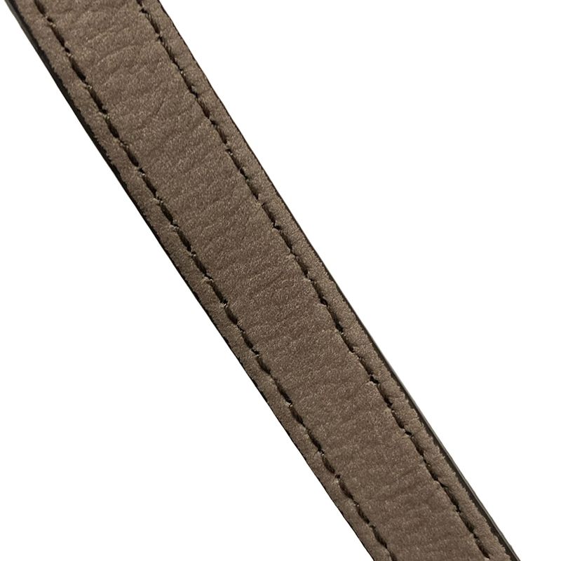 Gucci Shoulder Bag Soho 308364 Gray-beige Diagonal/tassel