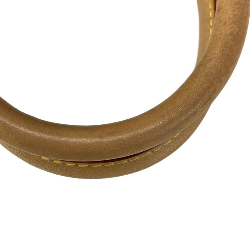 Louis Vuitton Handbag Monogram Cherry Speedy 25 M95009 Monogram Cherry