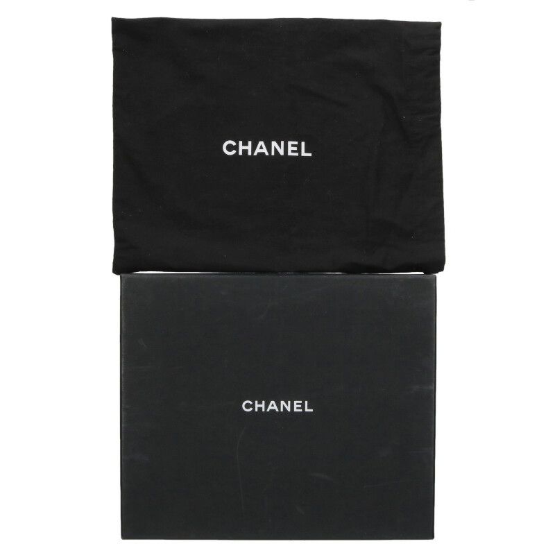 Chanel 22 Mini Lambskin Chain Leather Shoulder Bag Women