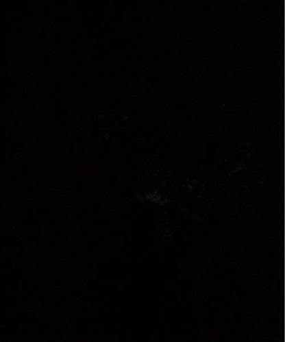 Prada Blouson  Men's