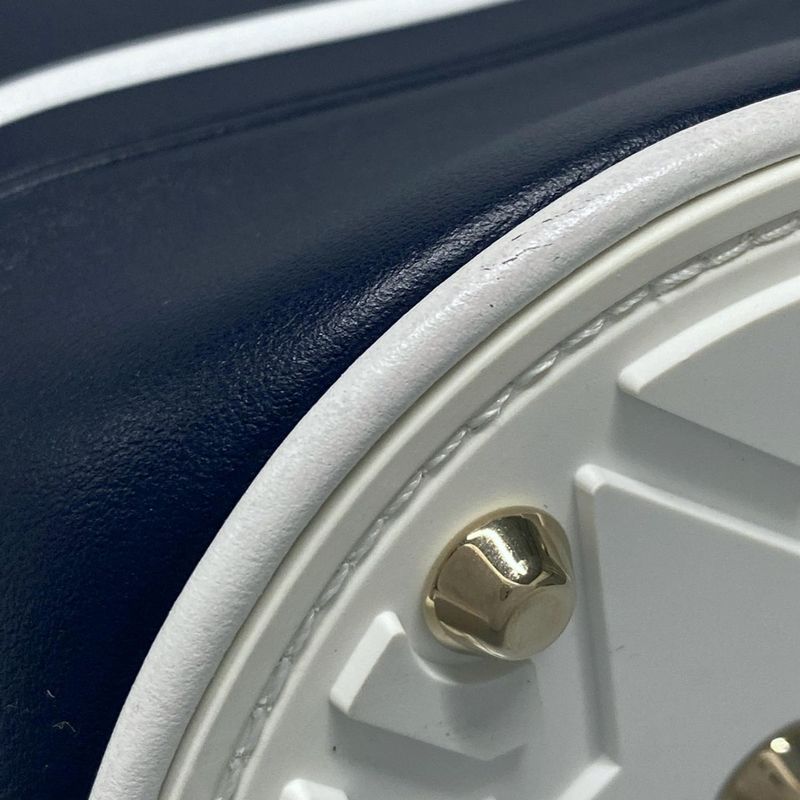 Dior/christian Dior Handbag Vibe Micro Bucket Bag Navy And White Mini Size /