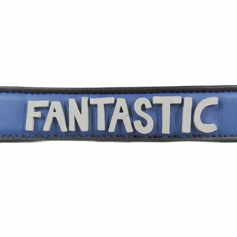 Fendi Strap You Strap You Handle for Bag Accessories Fantastic Logo Leather