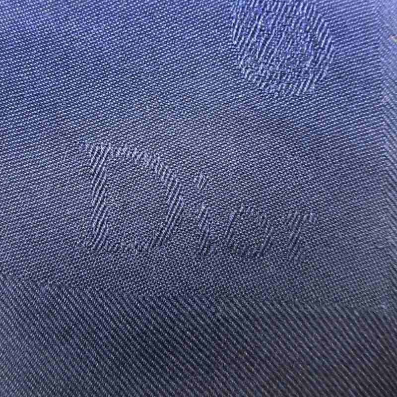 DIOR Jacquard Logo Large Size Stole Silk Shawl Logo Gradient Scarf Feather