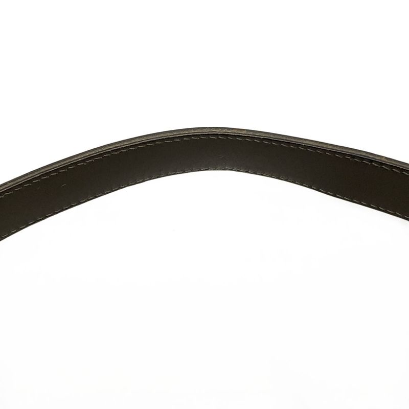 Dior/christian Dior Shoulder Bag Double Saddle Bag Dark Brown And Khaki Gold