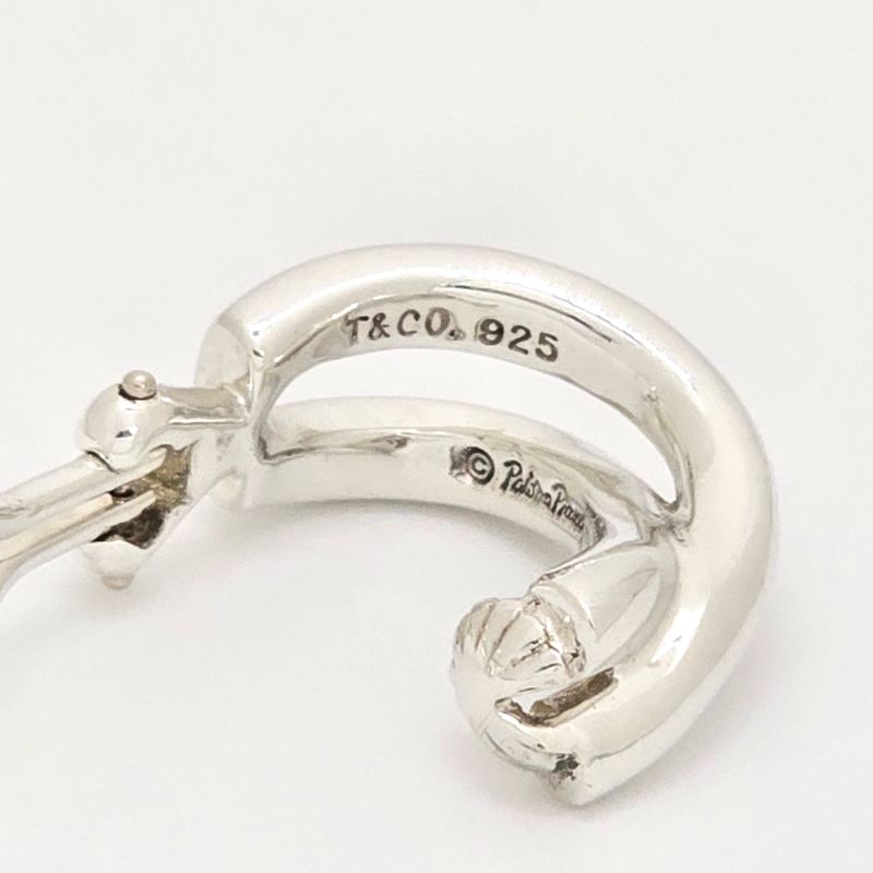 Tiffany & Co Tiffany & Co Infinity Earrings Binaural Star Rings Silver Sv925