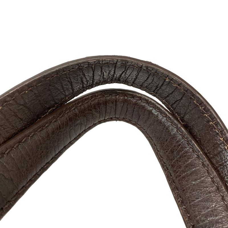 Gucci Tote Bag GG Patternsherry (web) 137396 Beige X Dark Brown X Multi Leather