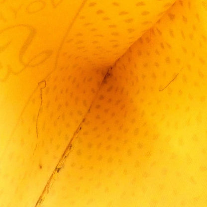 Louis Vuitton Monogram Wave (yayoikusama) Neverfull MM M40685 Bag