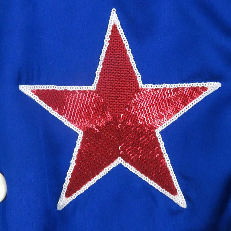 Celine 2v35n851c American Teddy Blouson Eddie Period Sequined Stajan Ivory Red