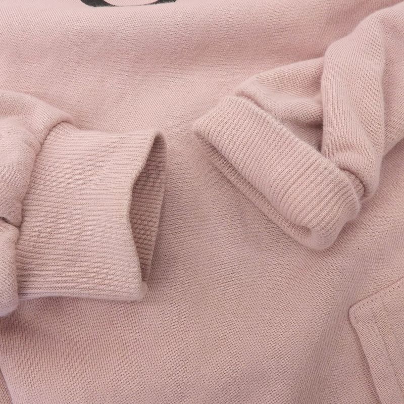 Celine Cotton Logo Pullover Hoodie Top Men's Pink XS 2y321670q XS