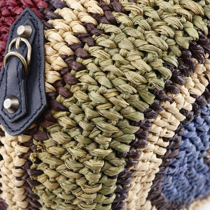 Balenciaga Cage Bag Raffia And Leather Women's Tote Bag