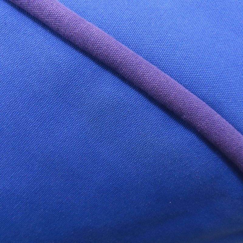 Hermes Sac Baga GM Tote Bag Canvas Women