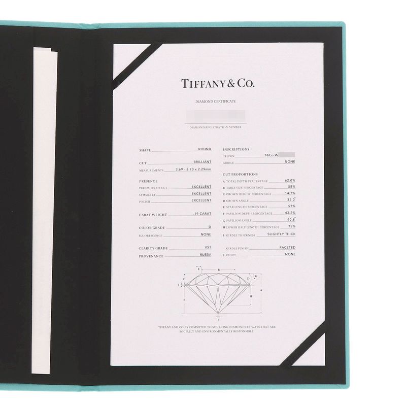 Tiffany & Co Harmony Diamond Ring - Pt950 Ladies