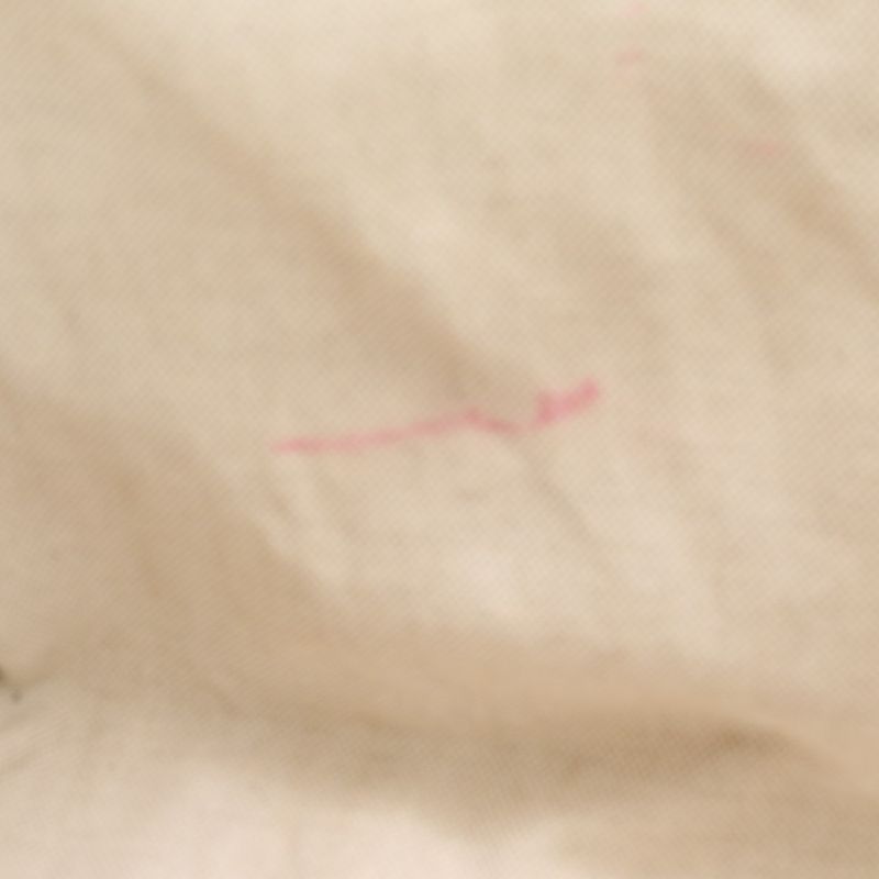 Gucci GG Supreme 309613 Leather Tote Bag Shoulder Hand Brown A4 Ladies REM