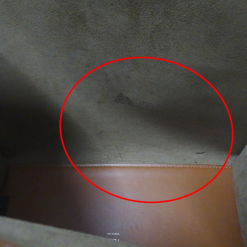 Fendi Bag Women's Brand Handbag Shoulder Bag 2way Sunshine Medium Leather Brown