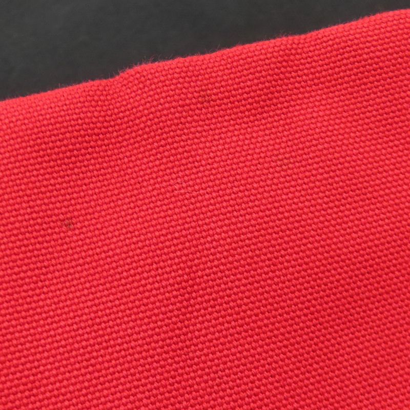 Prada Dinosaur Motif Tote Bag Canvas Women