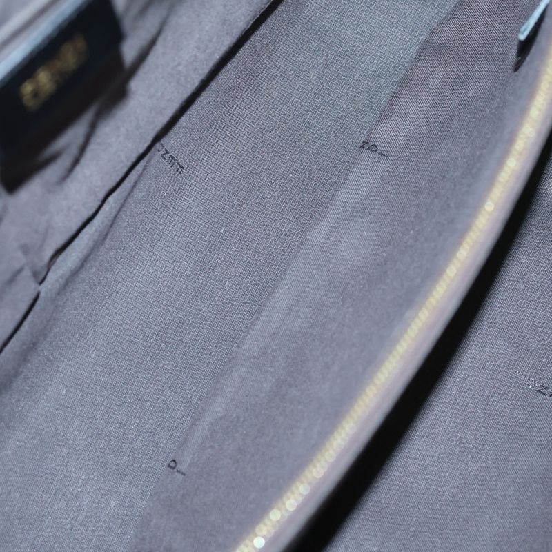 Fendi Chameleon FF Logo Plate Leather 2WAY Hand Shoulder Bag Gold Hardware