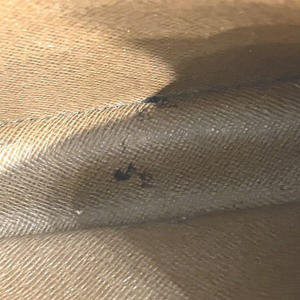 Louis Vuitton Monogram Amazon M45236 Bag Shoulder Bag Women