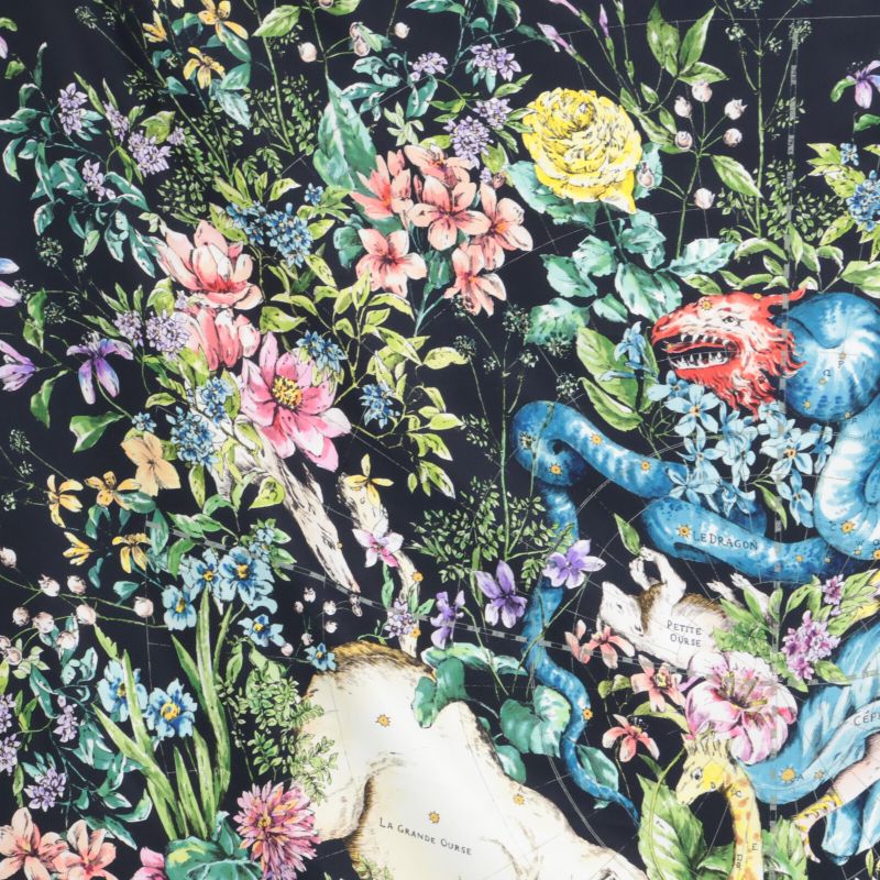 DIOR   22AW Xkdoo090i603c581tu D-constellation