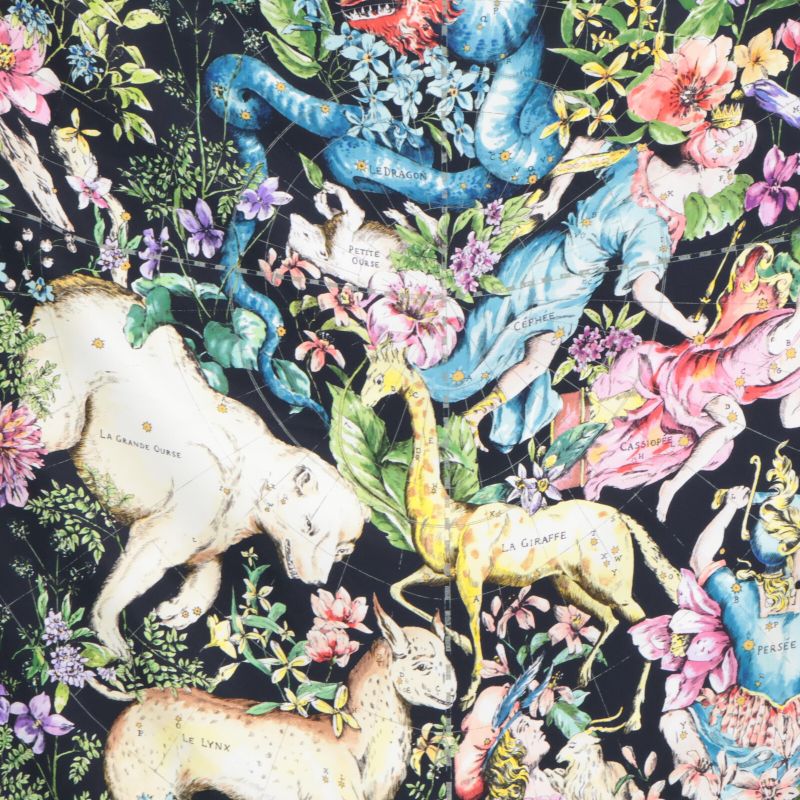 DIOR   22AW Xkdoo090i603c581tu D-constellation