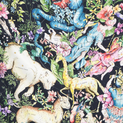 DIOR   22AW Xkdoo090i603c581tu D-constellation