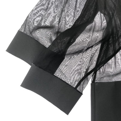 Celine by Phoebe Philo Celine Phoebe Philo Sheer Dress Black 36