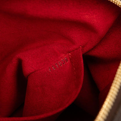 Louis Vuitton Damier Trevi PM Handbag Shoulder Bag 2WAY N51997 Brown PVC