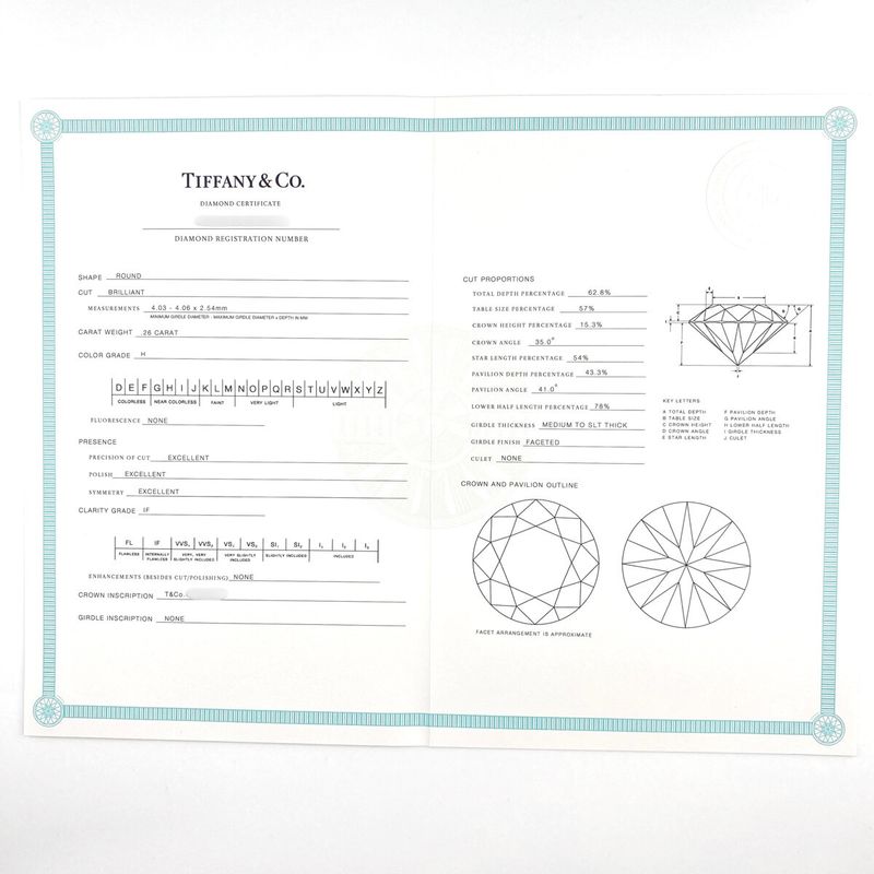 Tiffany & Co Tiffany & Co Diamond Design Earrings Platinum Earrings Pt950