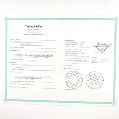 Tiffany & Co Tiffany & Co Diamond Design Earrings Platinum Earrings Pt950