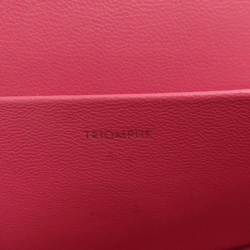 Celine Triomphe Handbag Calf Women