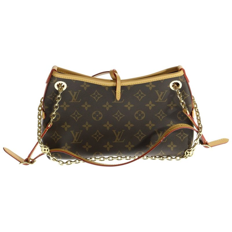Louis Vuitton Carryall BB M13014 Monogram Shoulder Bag Gold Hardware Brown