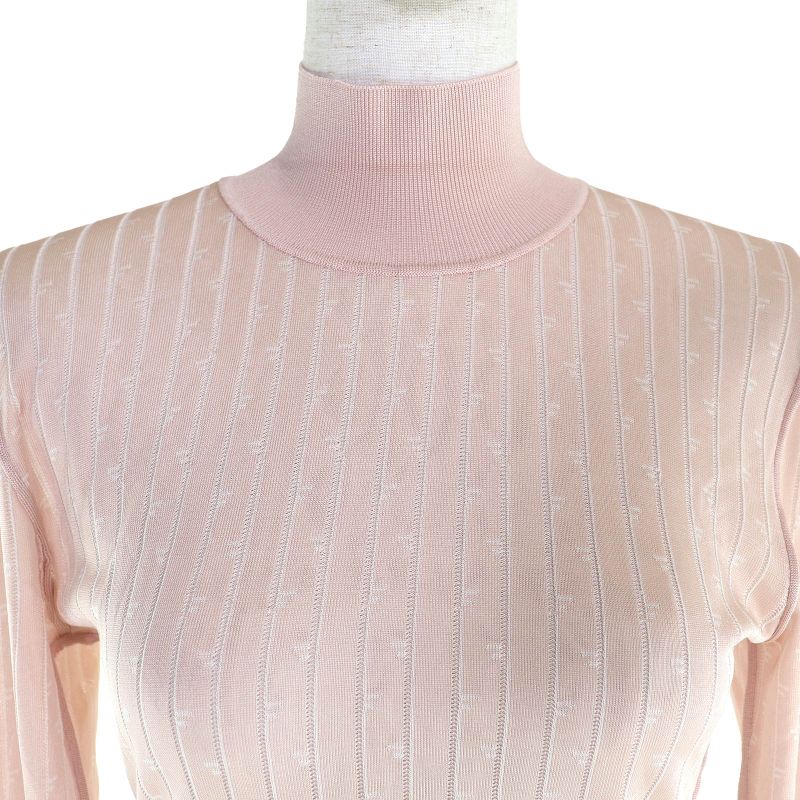 Fendi 2022 Fzx834 FF Pattern Stripe Cropped High Neck Long Sleeve Knit Top Pink
