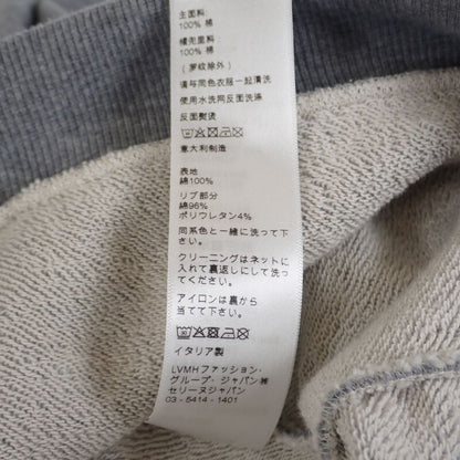 Celine Loose Hoodie Size S 2y321670q.09gb Hoodie Cotton Gray Mens [AB Rank