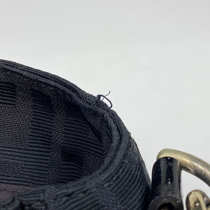 Fendi Zucca Pattern Chain Shoulder Bag Mia One Shoulder Bag Canvas 8br614 Women