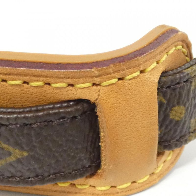 Louis Vuitton Monogram Amazon M45236 Shoulder Bag