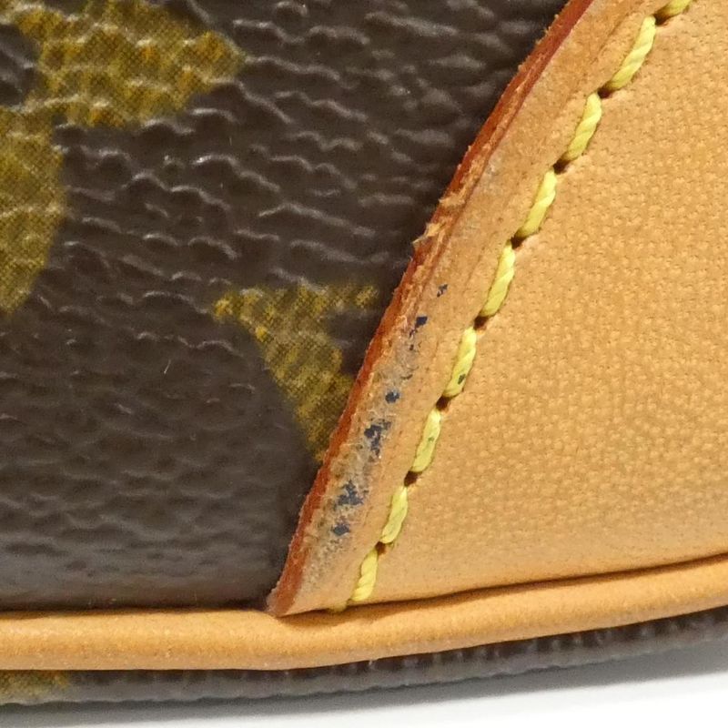 Louis Vuitton Monogram Amazon M45236 Shoulder Bag