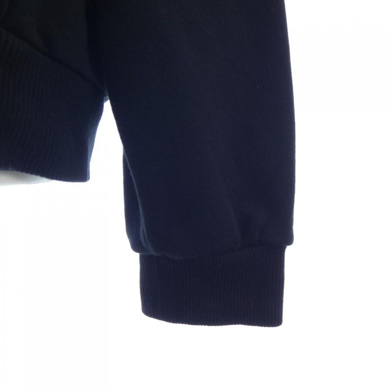 Celine Loose Hooded Sweatshirt 2y468670q Hoodie