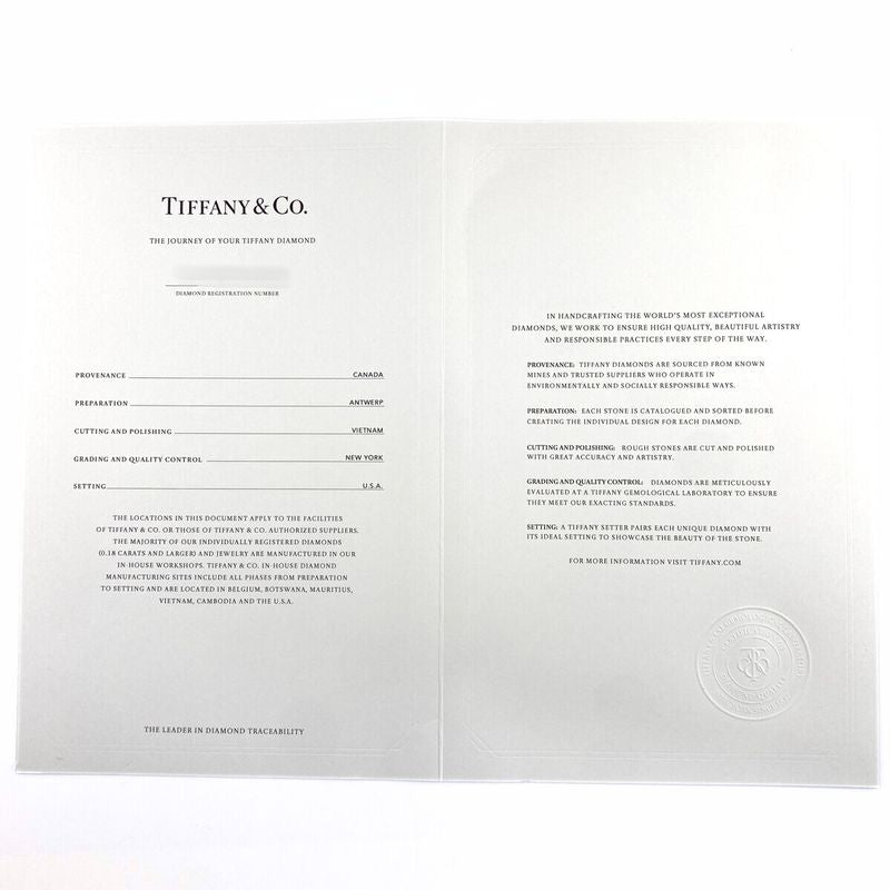 Tiffany & Co Tiffany & Co By-the-yard Necklace PG Pink Gold Pendant Diamond 1P