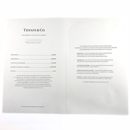 Tiffany & Co Tiffany & Co By-the-yard Necklace PG Pink Gold Pendant Diamond 1P