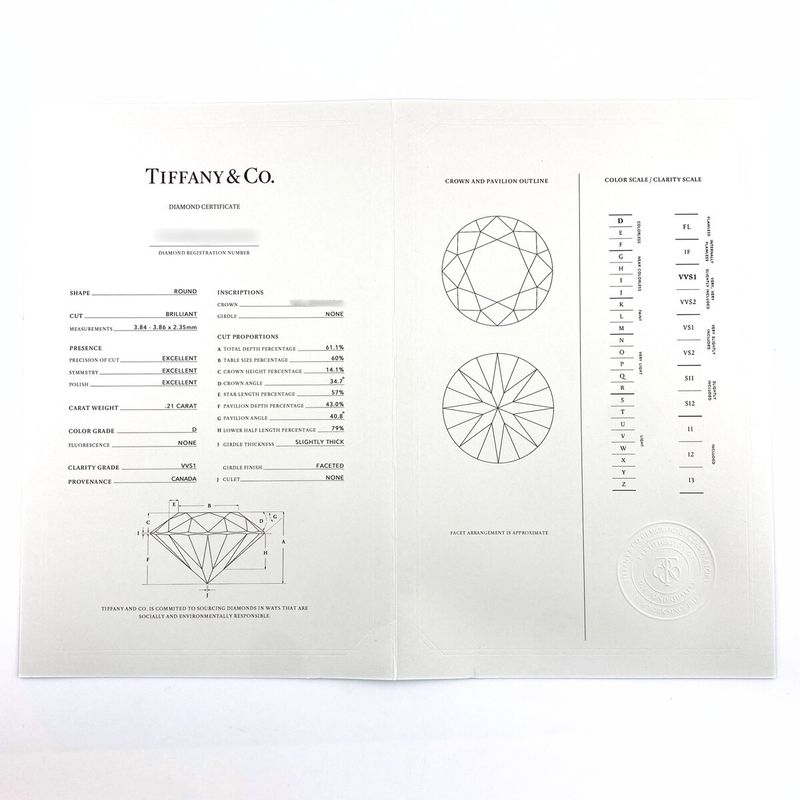 Tiffany & Co Tiffany & Co By-the-yard Necklace PG Pink Gold Pendant Diamond 1P