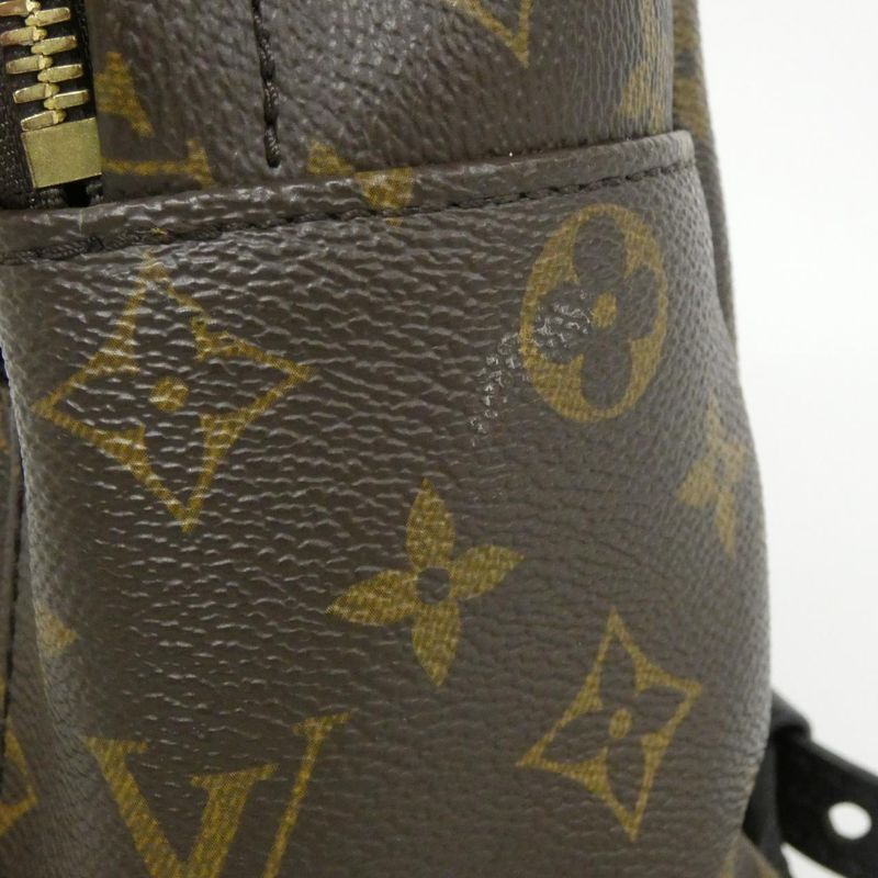 Louis Vuitton Monogram Palm Springs Backpack PM M44871 Backpack Sac