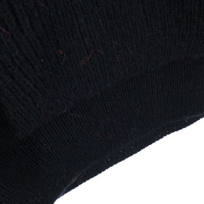 Celine 22AW Embroidery Hooded Sweater In Ski Jacquard Wool Embroidery Pullover