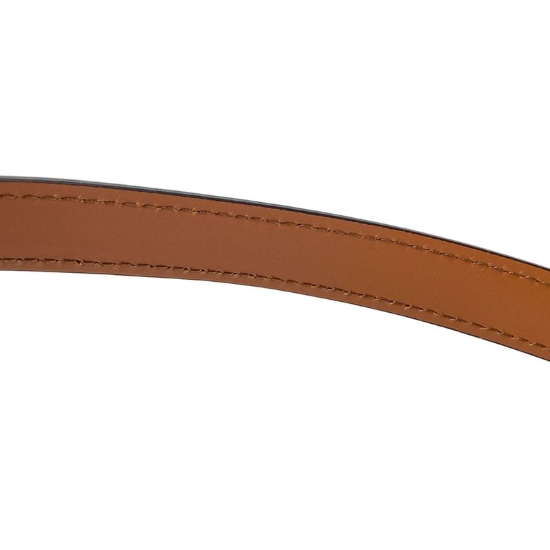 Celine Shoulder Bag Teen Triomphe Bag Ivory And Brown Leather