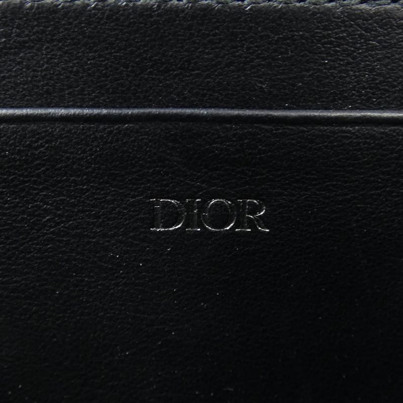 Dior Zip Pouch With Strap 2esbc119llg BAG