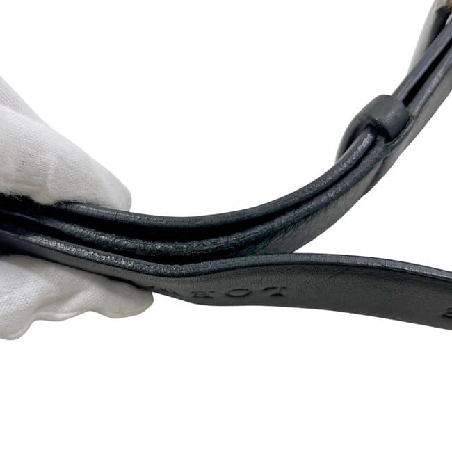 Loewe Garment Case Black Anagram Costume Bag Leather Preowned