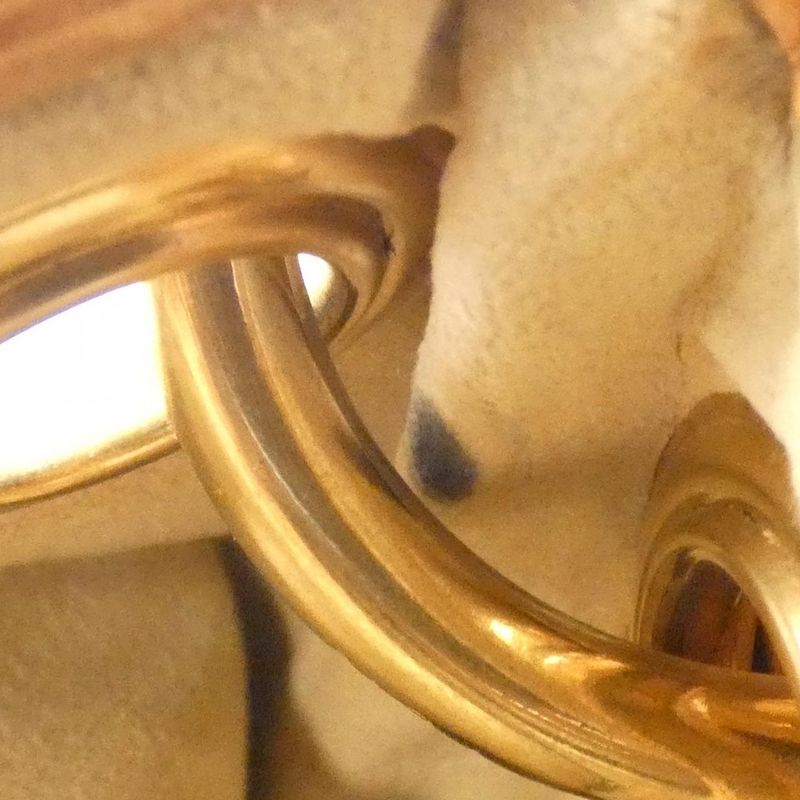 Louis Vuitton Monogram Galiera PM M56382 Shoulder Bag