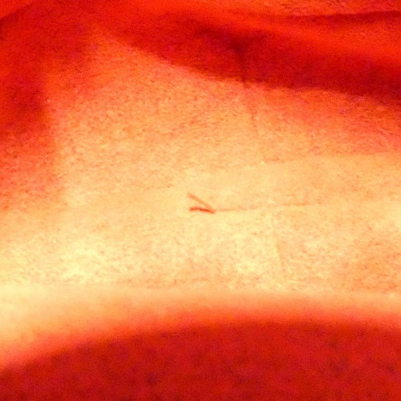 Louis Vuitton Monogram Croissant MM M51512 Shoulder Bag