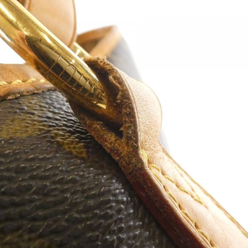 Louis Vuitton Monogram Delightful MM M40353 Shoulder Bag