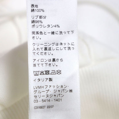 Celine 2y753670q 100% Cotton Eddy Period Gradient Logo Loose Hoodie Pullover