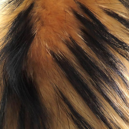 Pyrenex Bordeaux FUR Jacket Bordeaux Fur Logo Patch Hooded Down Jacket Black 36