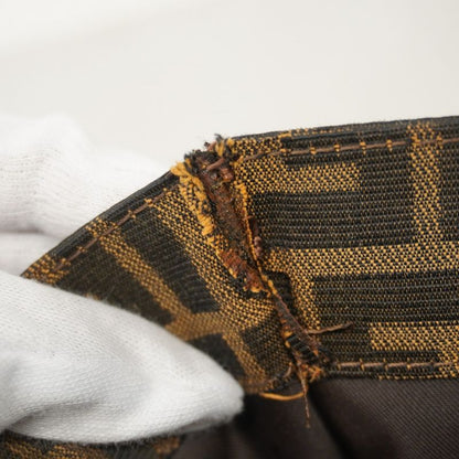 Fendi Handbag Zucca Nylon Canvas Brown Silver Hardware Women